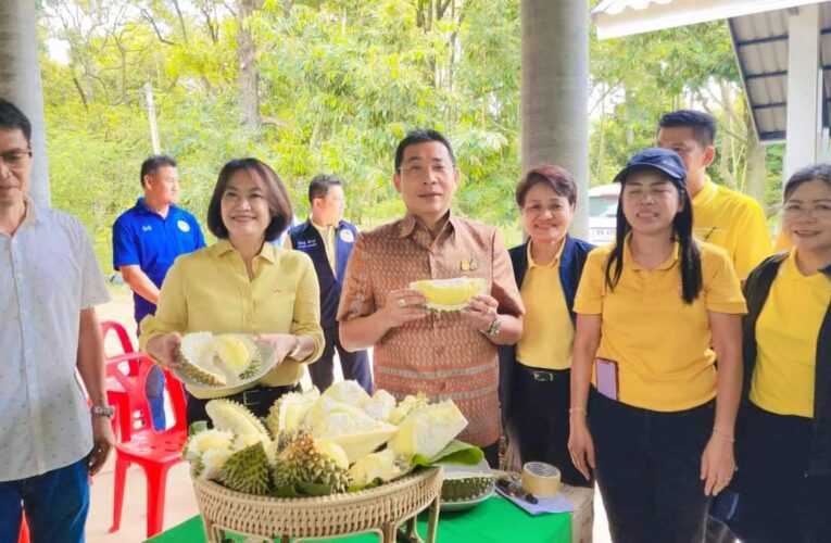 ผู้ว่าฯ..การันตีทุเรียนดีเมืองระยอง โชว์ตัดลูกทุเรียนจากต้น เป็นการยืนยันทุเรียนเริ่มออกสู่ตลาดแล้ว พร้อมเชิญชวนนักท่องเที่ยวชิมทุเรียน และผลไม้คุณภาพหลากหลายของระยอง