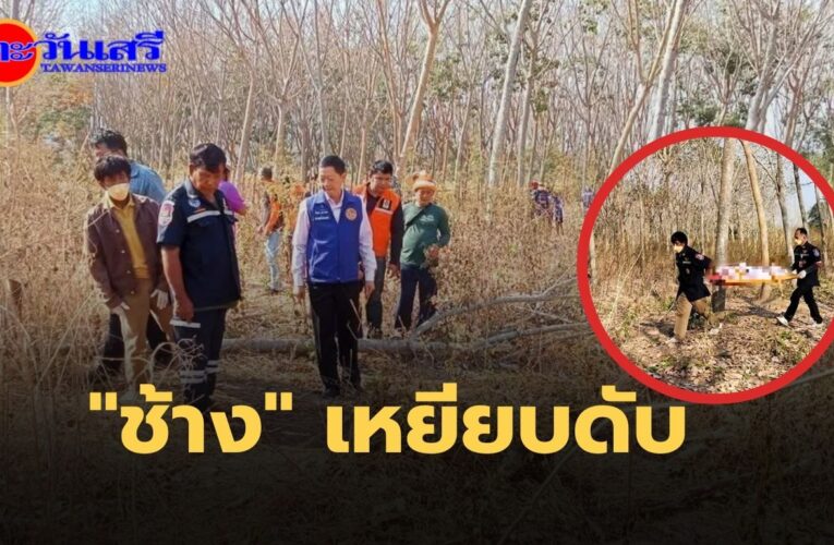 ชาวบ้านแจ้งพบศพในสวนยาง คาดถูกช้างป่าทำร้าย กรมอุทยานฯ ส่งตัวแทนร่วมงานศพ มอบเงินช่วยเหลือในเบื้องต้น