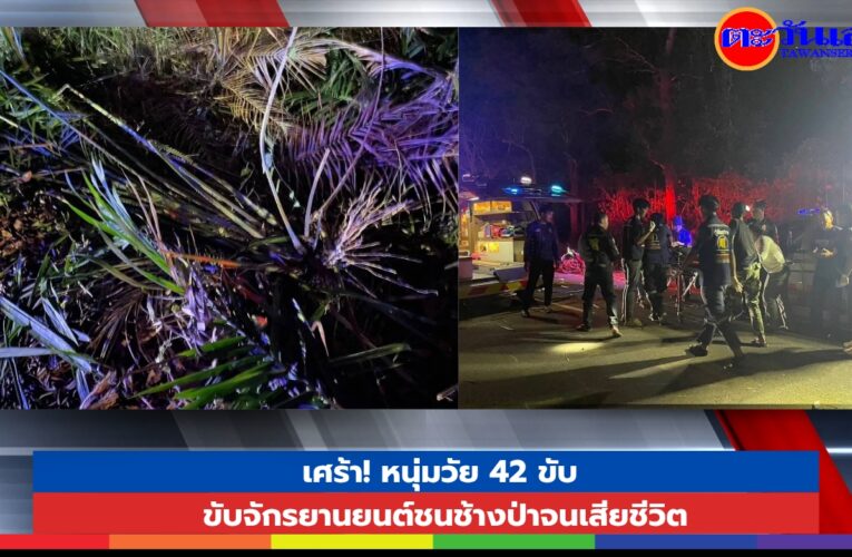 เศร้า! หนุ่มวัย 42 ขับ ขับ​จักรยานยนต์​ชนช้างป่าจนเสียชีวิต