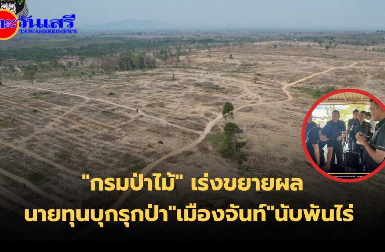 “กรมป่าไม้ โดยหน่วยเฉพาะกิจปราบปรามพิเศษ (พยัคฆ์ไพร) สำนักจัดการทรัพยากรป่าไม้ที่ 9 (ชลบุรี) ขยายผลตรวจสอบข้อเท็จจริง กรณีมีพลเมืองดีแจ้งเบาะแสถึงอธิบดรกรมป่าไม้ ว่ามีกลุ่มนายทุน ลักลอบทำไม้ออกจากเขตป่าสงวนแห่งชาติโดยไม่ได้รับอนุญาต ในท้องที่อำเภอแก่งหางแมว และอำเภอเขาคิชฌกูฏ จังหวัดจันทบุรี 1,848 ไร่”