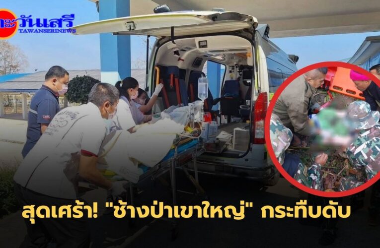 เจ้าหน้าที่ระดมกำลังช่วยผู้ประสบเหตุช้างป่าเขาใหญ่ – สุดเศร้าเสียชีวิตระหว่างนำส่ง รพ.