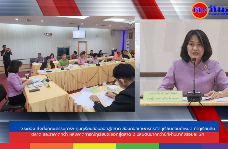 จ.ระยอง สั่งตั้งคณะกรรมการฯ คุมทุเรียนอ่อนออกสู่ตลาด ล้อมคอกเกษตรกรตัดทุเรียนก่อนกำหนด ทำทุเรียนล้นตลาด และราคาตกต่ำ หลังคาดการณ์ทุเรียนจะออกสู่ตลาด 2 แสนตันมากกว่าปีที่ผ่านมาถึงร้อยละ 24