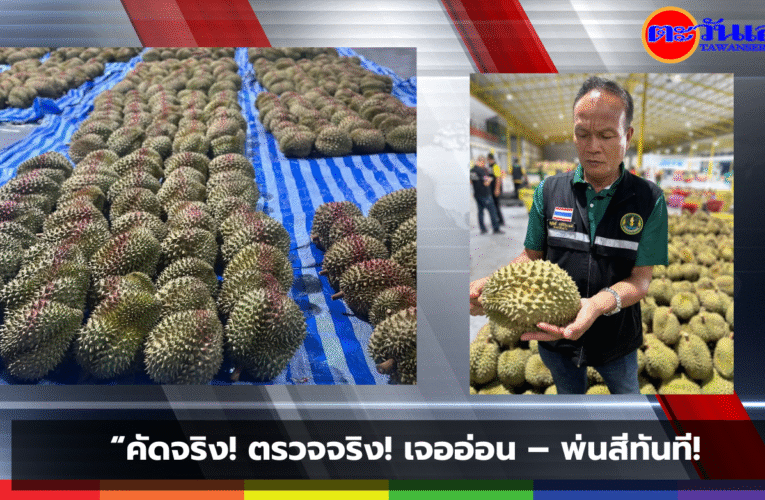 “คัดจริง! ตรวจจริง! เจออ่อน – พ่นสีทันที!