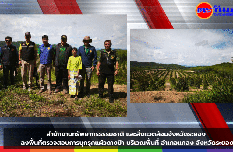 สำนักงานทรัพยากรธรรมชาติ และสิ่งแวดล้อมจังหวัดระยอง ลงพื้นที่ตรวจสอบการบุกรุกแผ้วถางป่า บริเวณพื้นที่ อำเภอแกลง จังหวัดระยอง