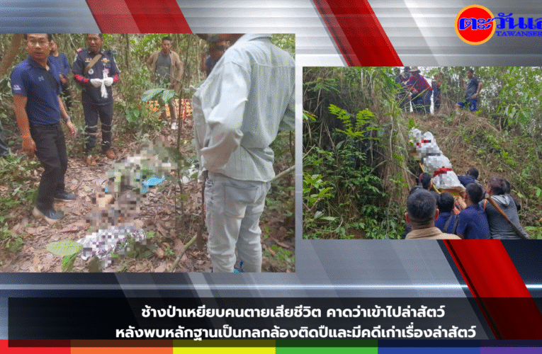 ช้างป่าเหยียบคนตายเสียชีวิต คาดว่าเข้าไปล่าสัตว์ หลังพบหลักฐานเป็นกลกล้องติดปืและมีคดีเก่าเรื่องล่าสัตว์